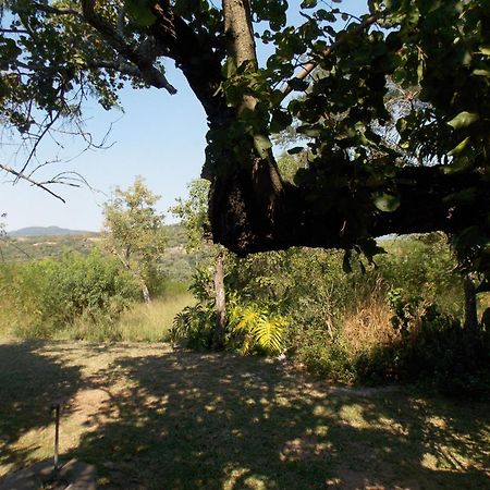 Leopard Tree Retreat Mbombela Exterior foto