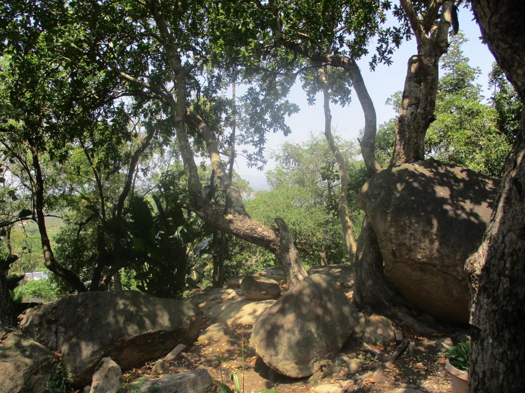 Leopard Tree Retreat Mbombela Exterior foto