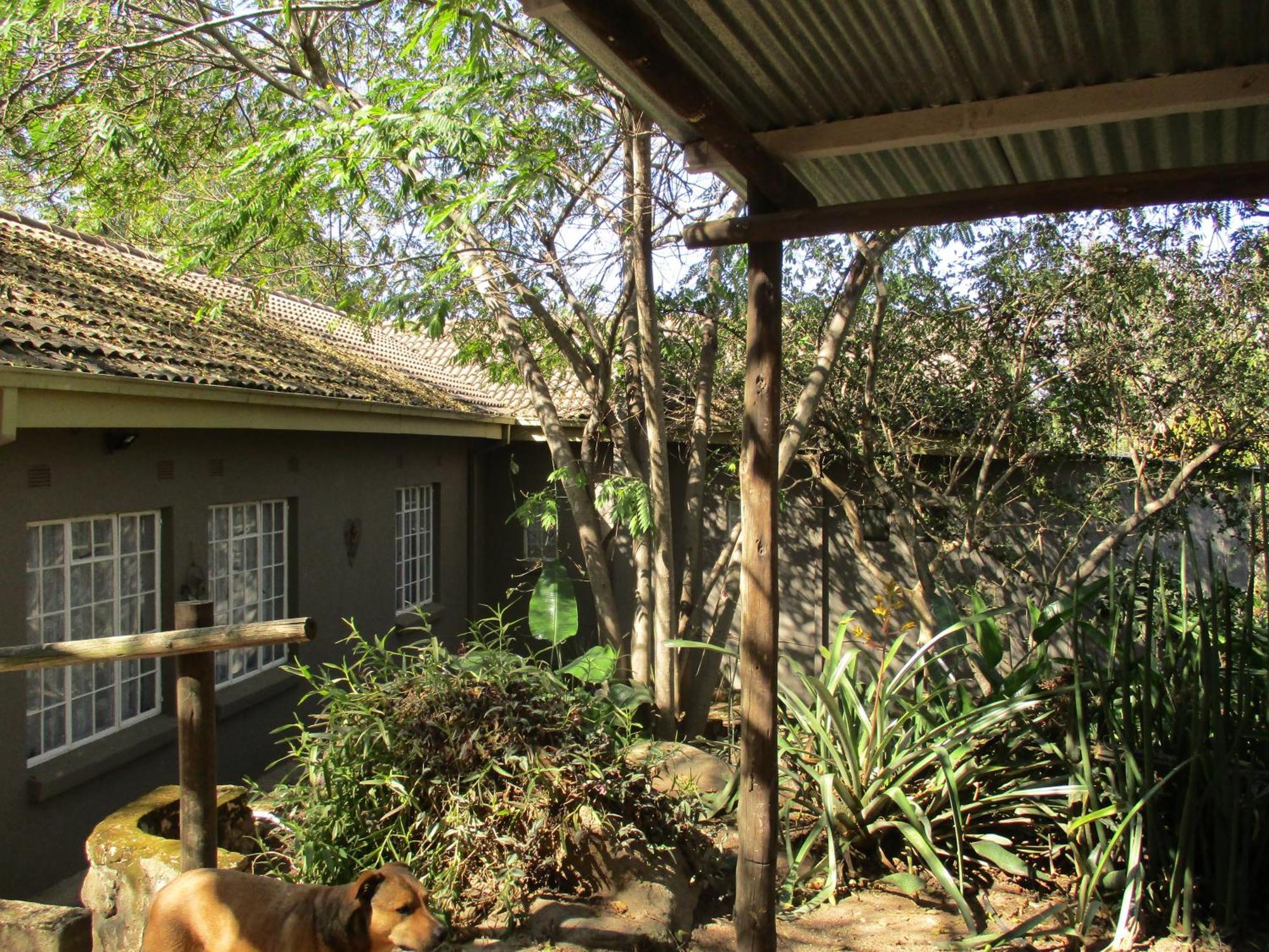 Leopard Tree Retreat Mbombela Exterior foto