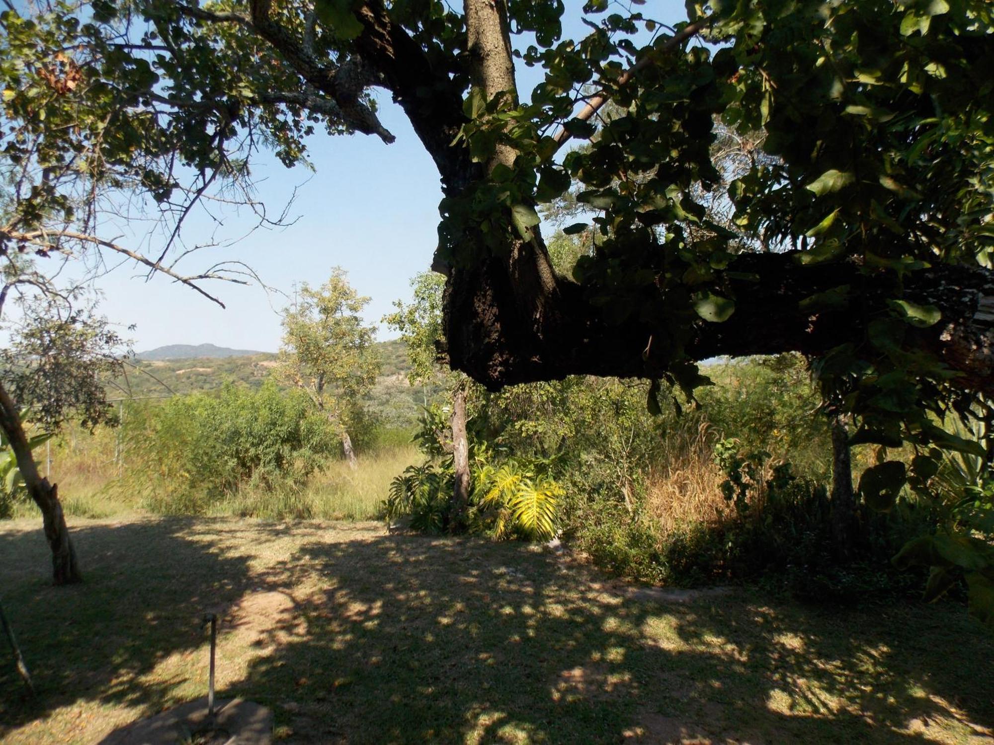 Leopard Tree Retreat Mbombela Exterior foto