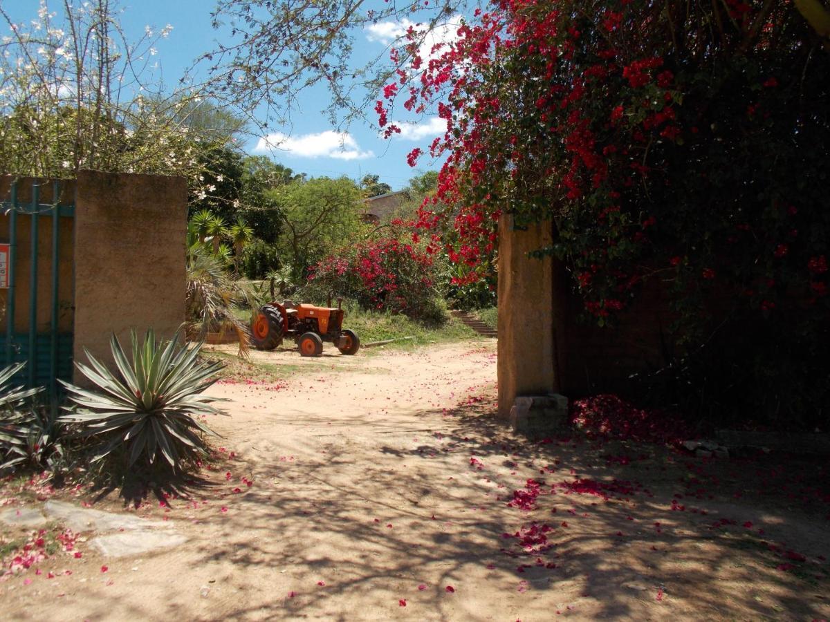 Leopard Tree Retreat Mbombela Exterior foto